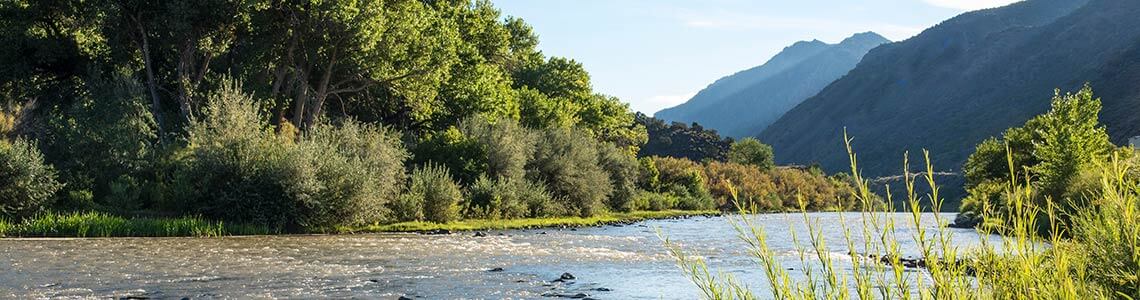Scenery along the Rio Grande.