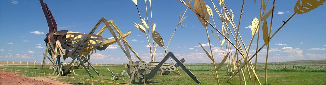 Grasshopper Sculpture on Enchanted Highway, ND