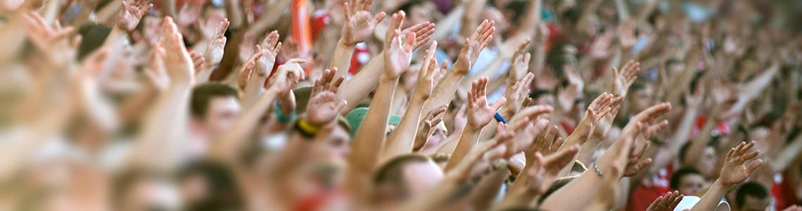 Fans enjoying a sporting event in South Carolina