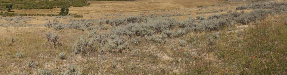Washita Battlefiled in Oklahoma