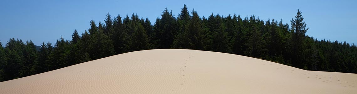 Oregon Dunes National Recreation Area