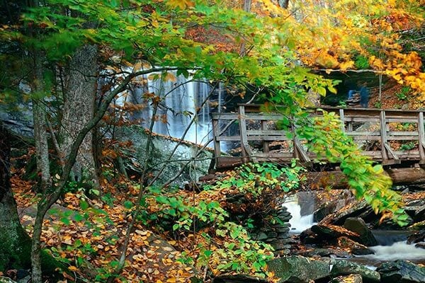 Ricketts Glen State Park in Pennsylvania