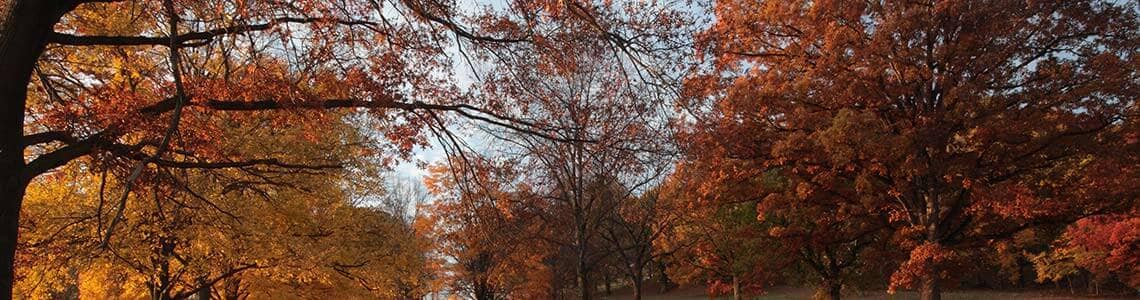 Valley Forge Historic Park in Pennsylvania