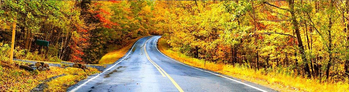 Road in autumn foliage in Rhode Island