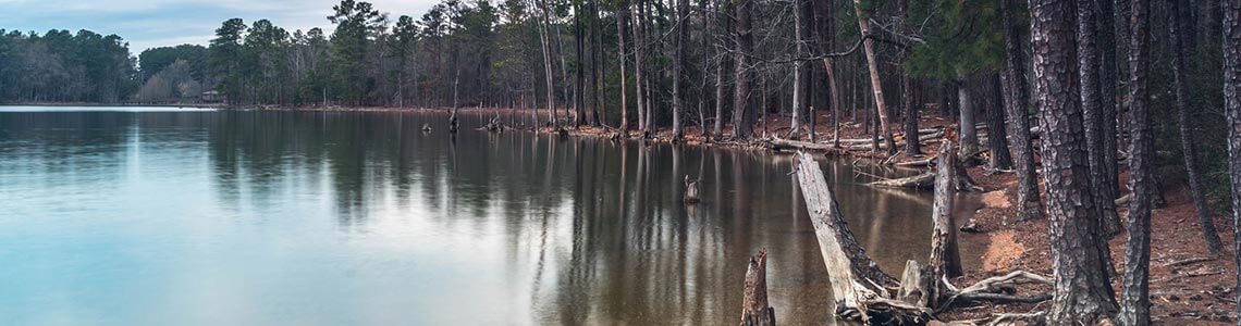Dreher Island State Park in SC