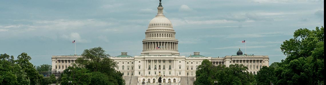 United States Capitol in Washington, DC