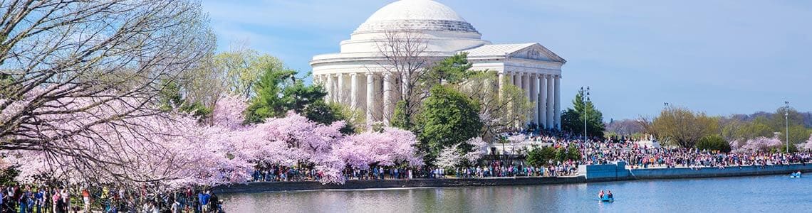 Jefferson Memorial during the cherry blossom festival in DC