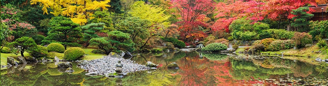 Gardens in Washington