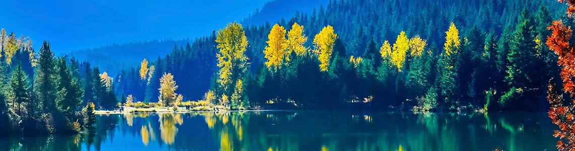 Wenatchee National Forest in Washington