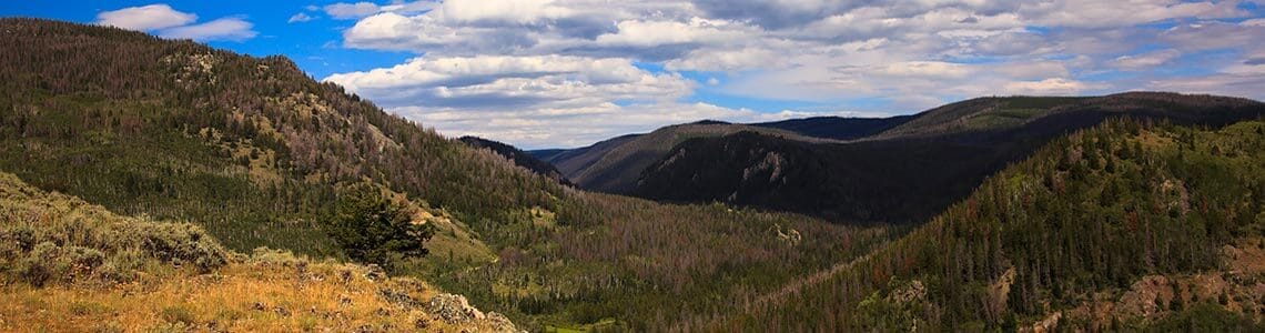 Medicine Bow National Forest in Wyoming